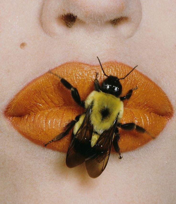 CaesarRuben1999's tweet image. Bee on Lips - Irving Penn 1995 New York September 22. #irvingpenn #beework #lipslove