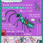まさにホラー!エメラルドゴキブリバチの狩りが怖い…