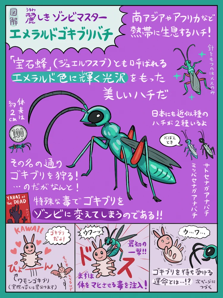 まさにホラー！！エメラルドゴキブリバチの狩りが怖い…