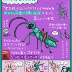 まさにホラー!エメラルドゴキブリバチの狩りが怖い…