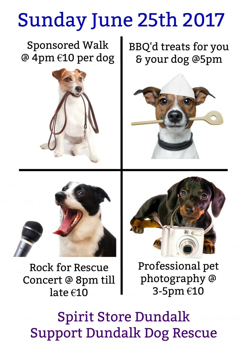 DDRDundalk's tweet photo. What a line-up this Sunday! #DDR sponsored walk, photos by https://t.co/EJPCShKCTB BBQ &amp; #RockForRescue https://t.co/9p1ZwRSAKs https://t.co/Slz1EG9Dpg