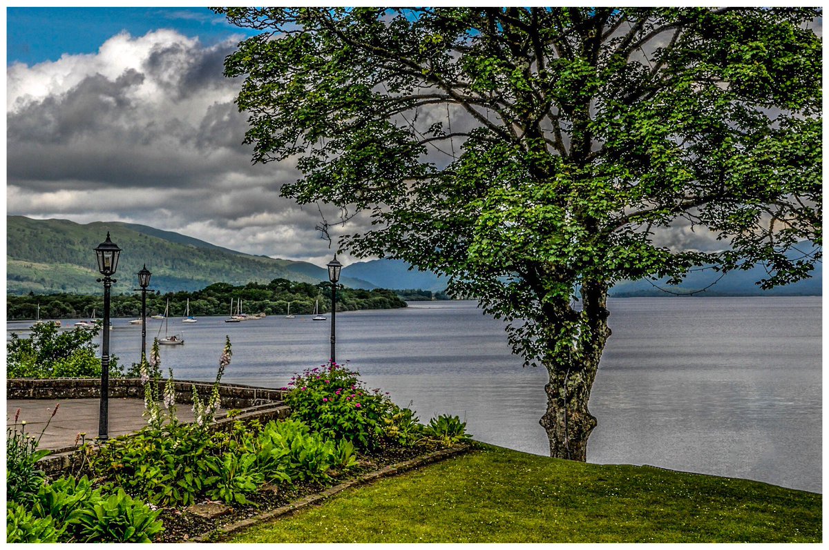 The bonny banks of Loch Lomond. #scotland