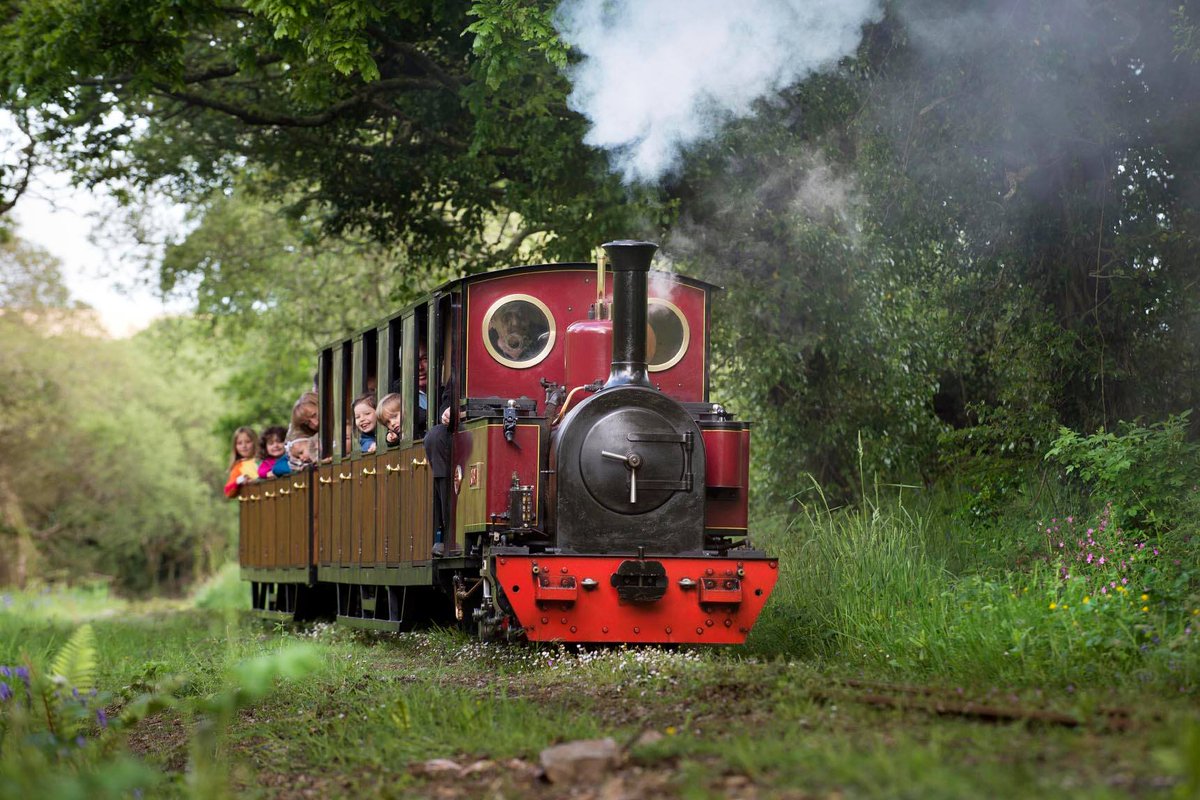 TheHolidayCots's tweet photo. Plan a #dayout at @Lappavalley this #summer & #stay at Wishing Well Cottage in #Penhallow.
https://t.co/0BTAZltDHX
#DogFriendly #Holiday https://t.co/4Eruy4wI09