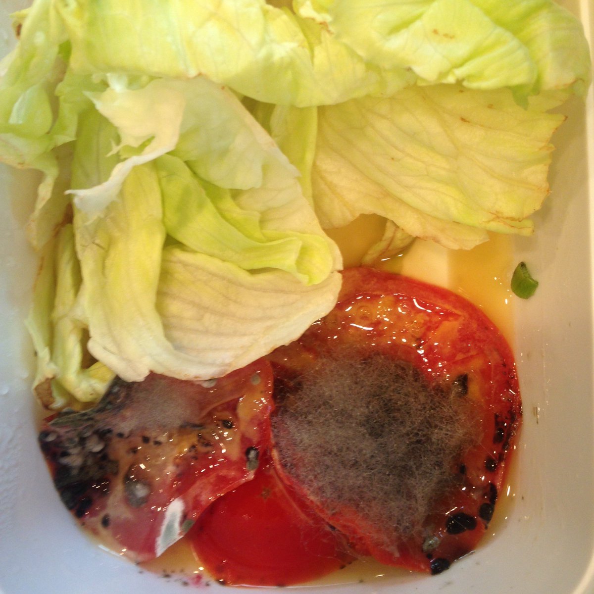 annavanbonn's tweet photo. Shocked that @VanBonn passed this lunch up in fridge! #microbiome https://t.co/71zXWDL1fK