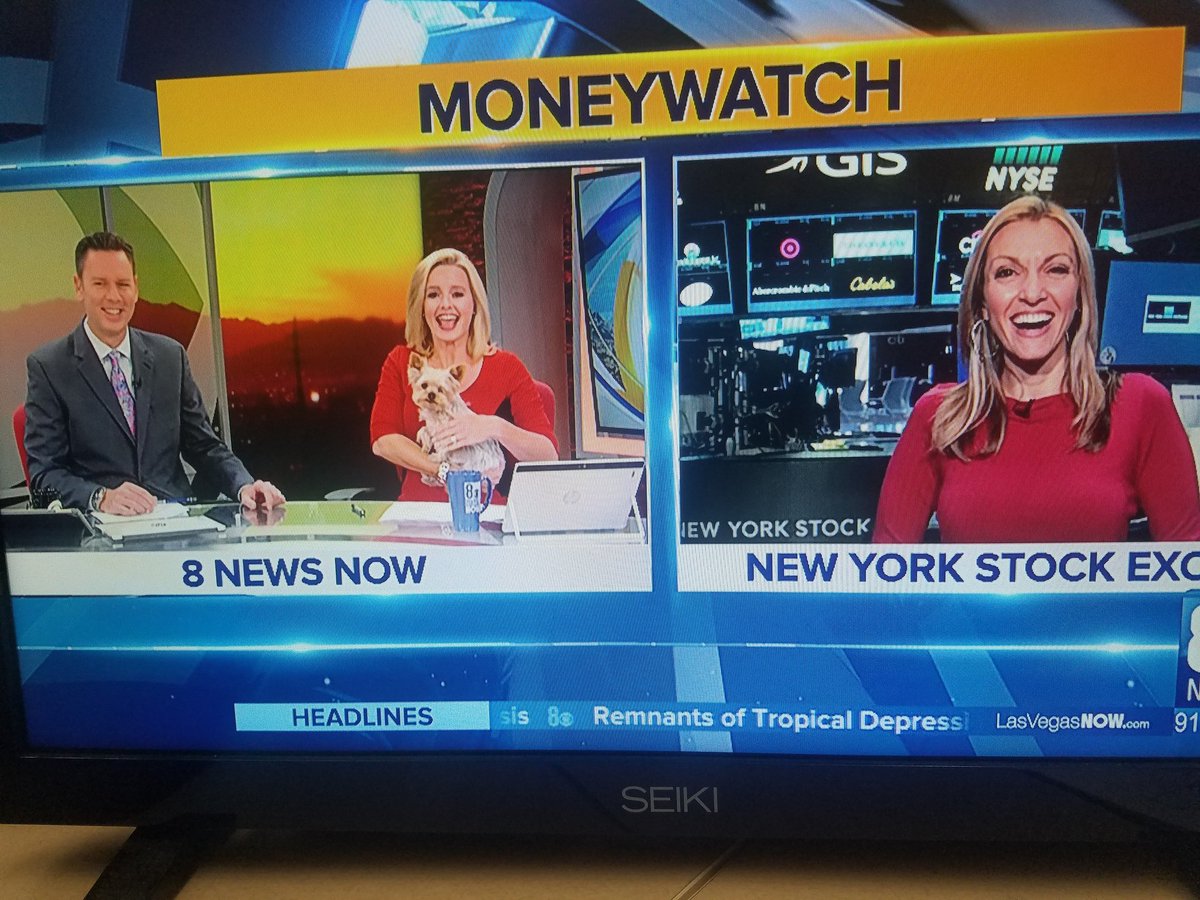 Chrissy8NewsNow's tweet photo. The show is going to the dogs this morning! @BrianLoftus8 @KirstenJoyce @jillwagnerCBS #rico #niko #puppy #whateverhisnameis 🐶 https://t.co/CvEtYN8uxu