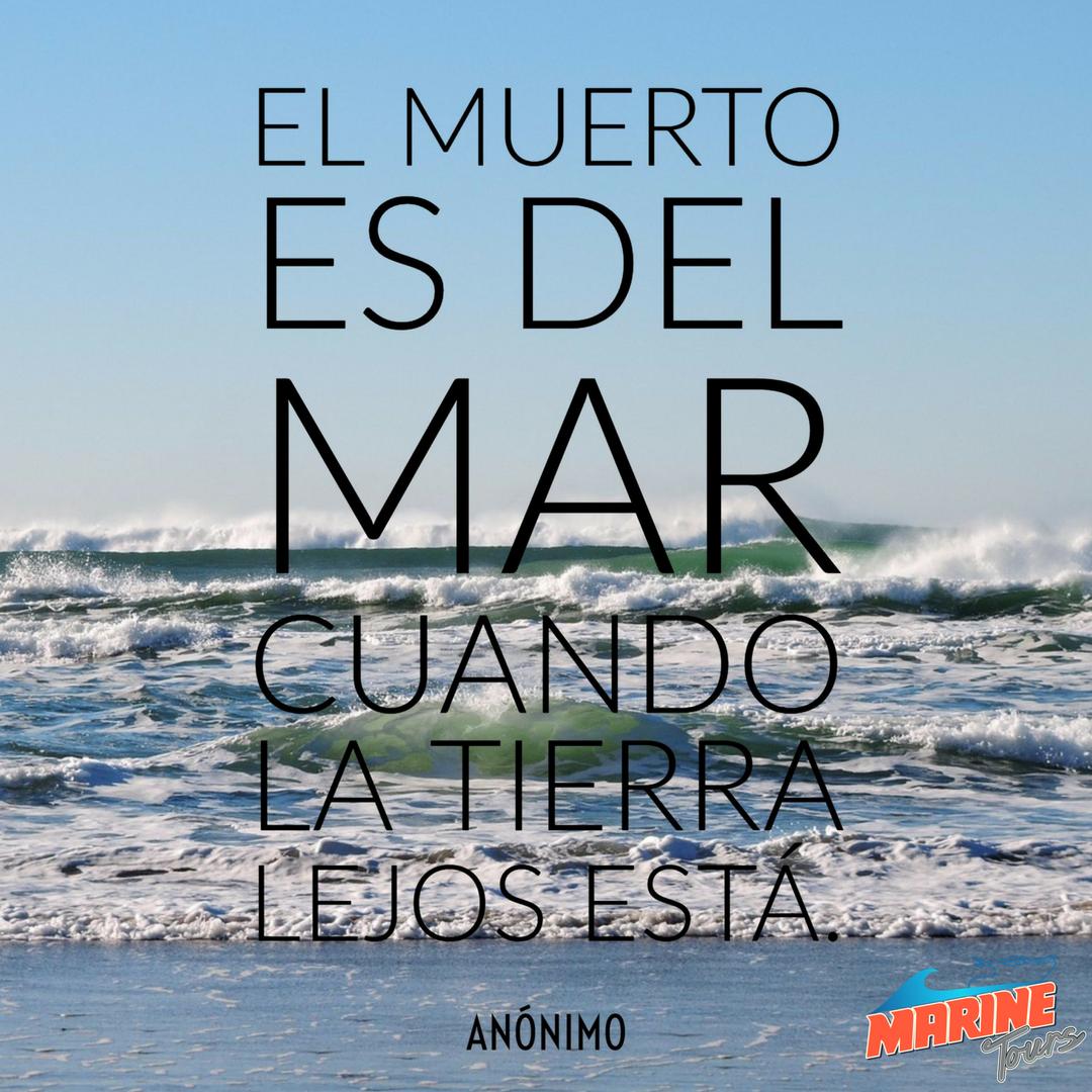 Marinetours_'s tweet photo. Todos pertenecemos al mar.

#frases #verdad #muerto #lejos #playa #beach #yate #rela #tukks #valencia #venezuela #empresa #frasesmarine https://t.co/ZdLcdEgSMK