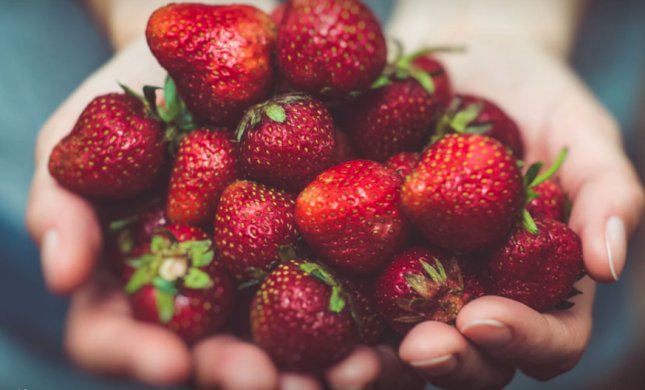 DigInVT's tweet photo. Looking for a farm that has pick-your-own? Then check out this list to find a place near you! https://t.co/sfMHdtn7rK #getpickin #picklocal https://t.co/finWFZFeiQ