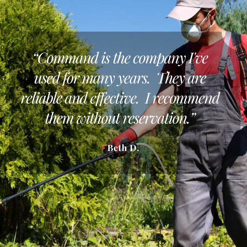 commandtermite's tweet image. To be sure which treatment is needed for your home or business, an on-site inspection is absolutely necessary.