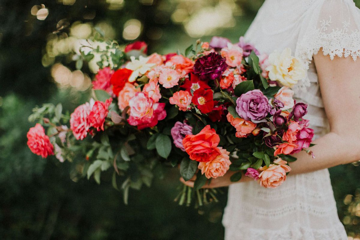 grnweddingshoes's tweet photo. Everything’s coming up roses for the month of June + what a coincidence — as the birth flower for June is the rose! https://t.co/K8orQ63RTa https://t.co/91MD3BDrLa