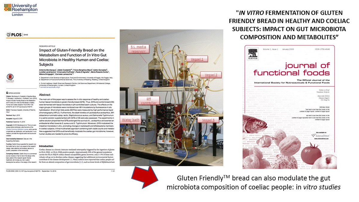 UoR_LifeScience's tweet photo. The #gluten friendly study presented by @adele759 a novel method with impact for #coeliacs disease https://t.co/KRl9O0Xs8I #HSRCresearch https://t.co/pYj2cFkLHu