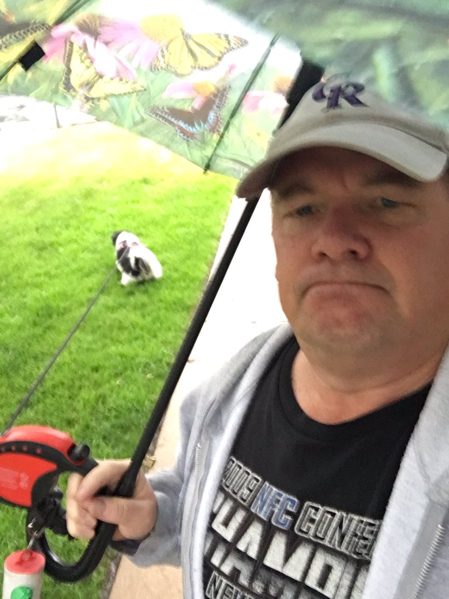 pearcedonald's tweet photo. Forced to walk prissy dog with pink harness in the rain with a butterfly umbrella. #lostmancard https://t.co/LgAuK06Y5i