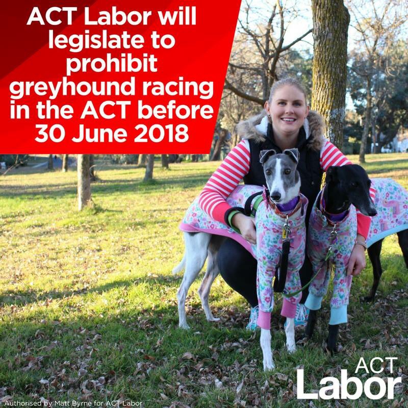 NGRU2015's tweet photo. @PMOnAir @2GB873 WE'LL PUT PEOPLE FIRST
Standing up for middle class and working class people.#JusticeForCanberraDogs #SnowflakeRamsay https://t.co/602oFI00sB
