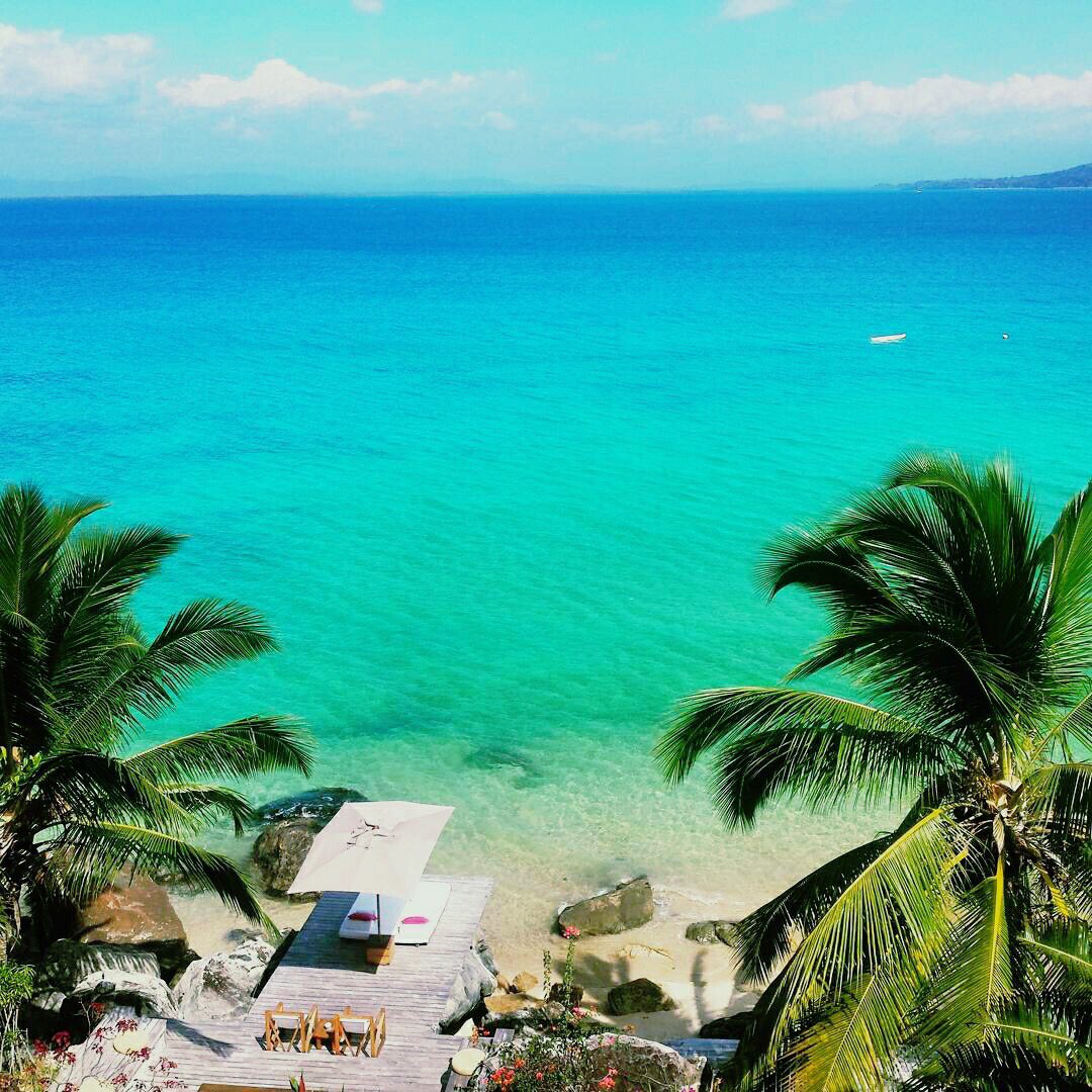 Lemurland's tweet photo. #madagascar #NosyBe #ile #OceanIndien #mer #ravinala #plage #soleil #vacances #nature #paradis #TeamGasy #Team261
PhotosFbMahatsaraAkama https://t.co/q08IM3yZzU