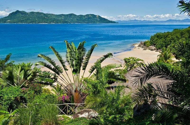 Lemurland's tweet photo. #madagascar #NosyBe #ile #OceanIndien #mer #ravinala #plage #soleil #vacances #nature #paradis #TeamGasy #Team261
PhotosFbMahatsaraAkama https://t.co/q08IM3yZzU