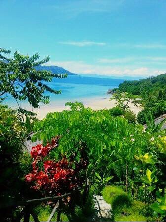 Lemurland's tweet photo. #madagascar #NosyBe #ile #OceanIndien #mer #ravinala #plage #soleil #vacances #nature #paradis #TeamGasy #Team261
PhotosFbMahatsaraAkama https://t.co/q08IM3yZzU