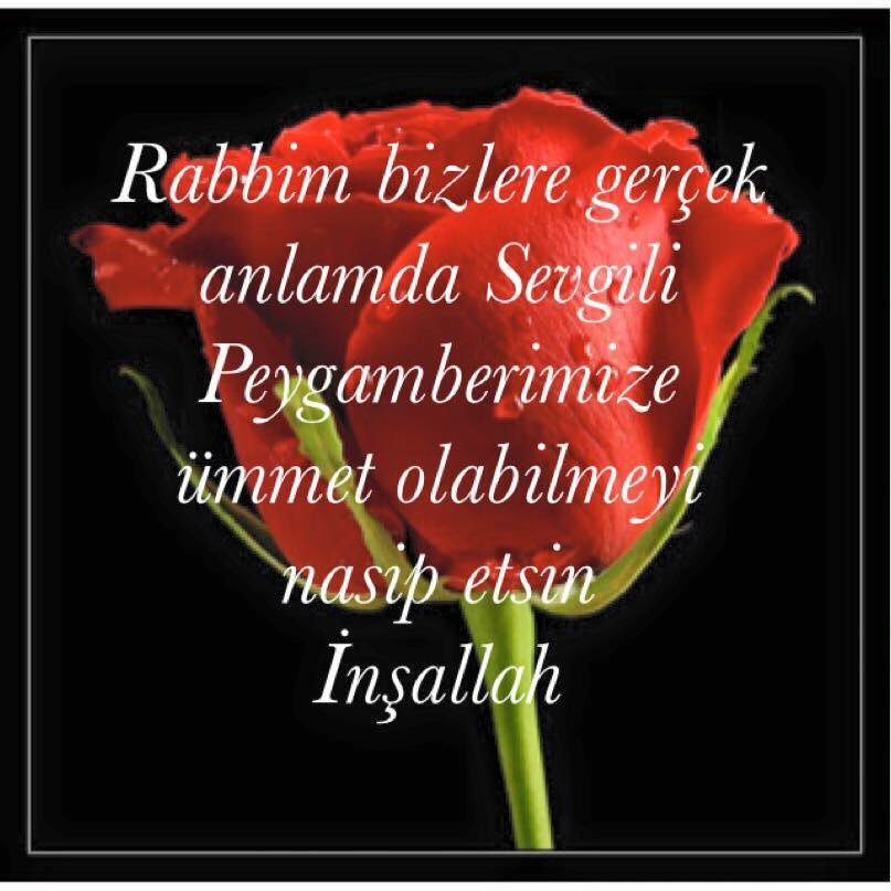 Rabbim bizlere gerçek anlamda Sevgili Peygamberimize ümmet olabilmeyi nasip etsin 
İnşallah
