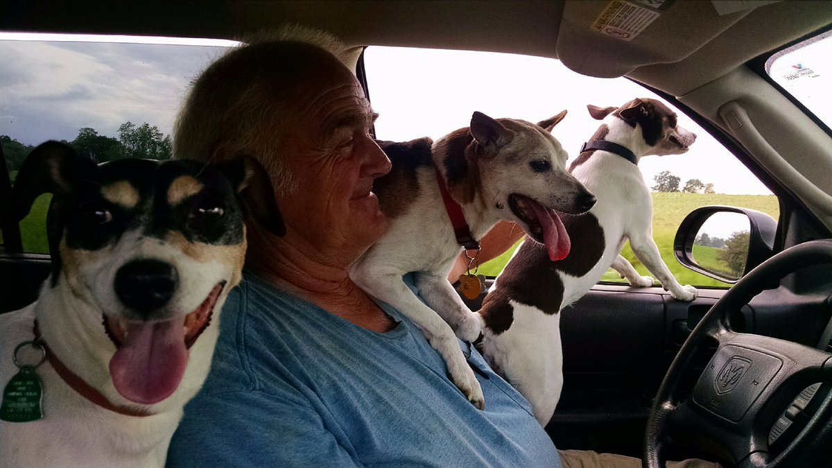 spartankate's tweet photo. My dad and the dogs! #bestfriends #oneismine #wylie #sadie #hank #ratterriers https://t.co/3qvHDkNZSK