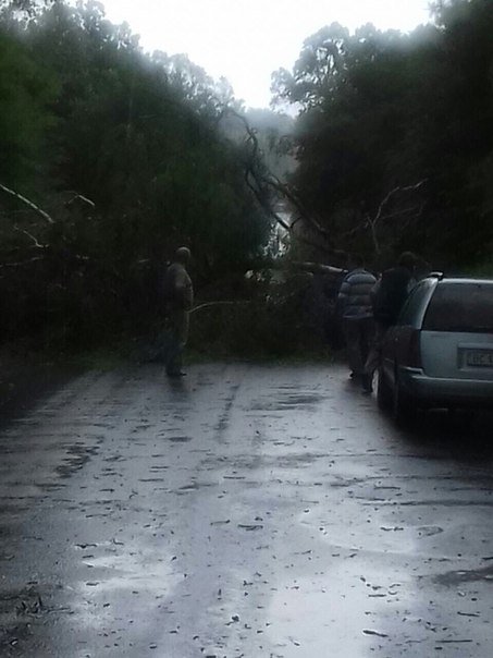 Переглянути зображення у Твіттері