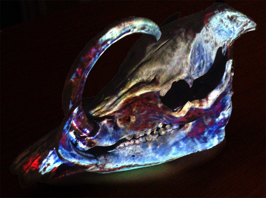 Skipton Town Hall (@skiptontownhall) on Twitter photo #Oneday until <a href="/whoispaulmiller/">Paul Miller</a> exhibition - New Light: Illuminating Artefacts. Here are some sneaky pics of whats coming up! #Art #Skipton #Oneday until <a href="/whoispaulmiller/">Paul Miller</a> exhibition - New Light: Illuminating Artefacts. Here are some sneaky pics of whats coming up! #Art #Skipton