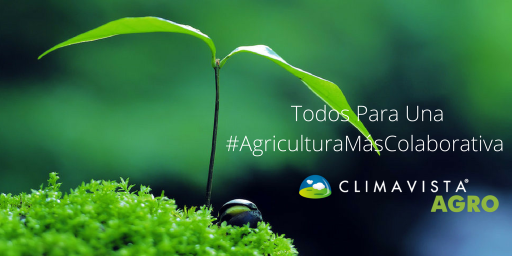 ClimaVistaAgro's tweet photo. El concepto de #AgriculturaColaborativa es que puedas controlar 1.000ha sin costo. Registráte ➡️ https://t.co/6G2XDYlqqw https://t.co/U4NzTixgkk