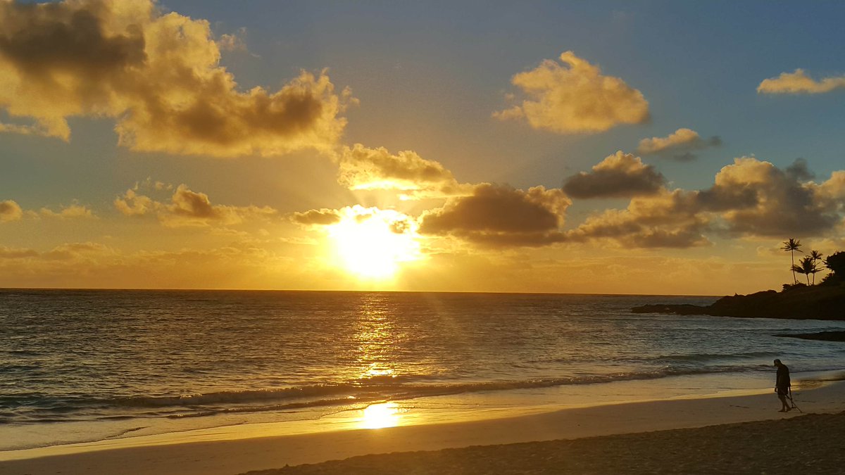 BChellesone's tweet image. 