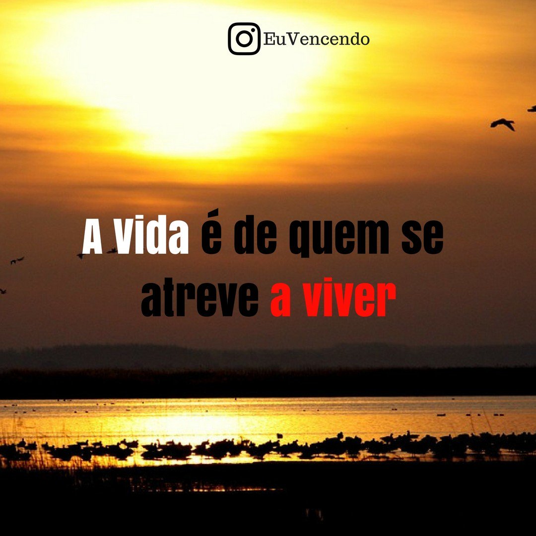 euvencendo's tweet image. Nada de medo! Apenas Viver! 
#MindsetPoderoso! instagram.com/p/BVr27YWhJKf