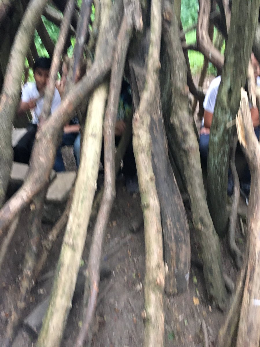 6Sobia's tweet photo. Shelter building, teamwork @MerrydaleJunior https://t.co/0NtzZhjwvn