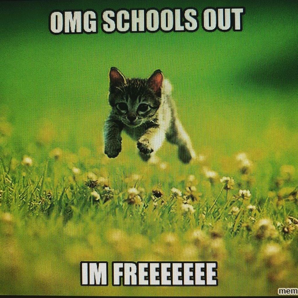 YASsss!  lol. Is everyone done for the summer??? #schoolsout #summertime ift.tt/2t2BKEz