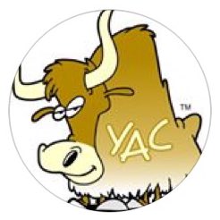 YacBay's tweet photo. #NewProfilePic https://t.co/oDlRBwJ95B