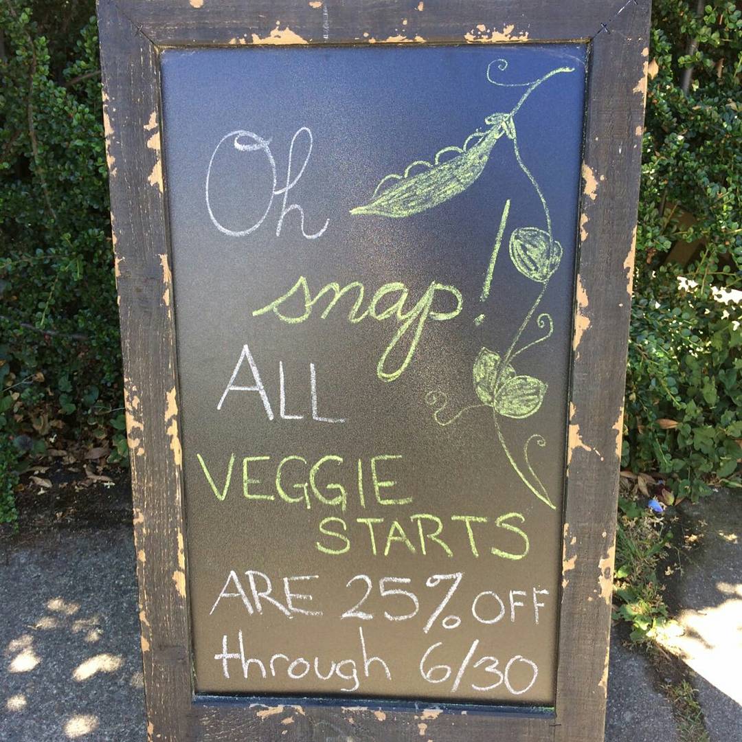 ALL VEGGIES are now 25% off through June 30th!! Ohhh Snap! 😉🍅🍆🌶
--
#veggies #buylocal #seattle #urbanearthnursery