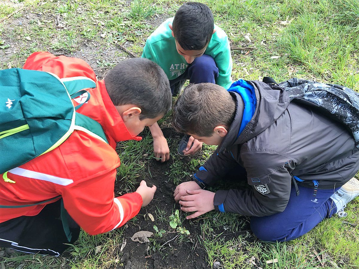 tiempodeocioceuta.com/articulo/cultu…
El MECD concede al IES ‘Almina’ el distintivo de calidad ‘Sello de Vida Saludable’
#tdeoceuta
