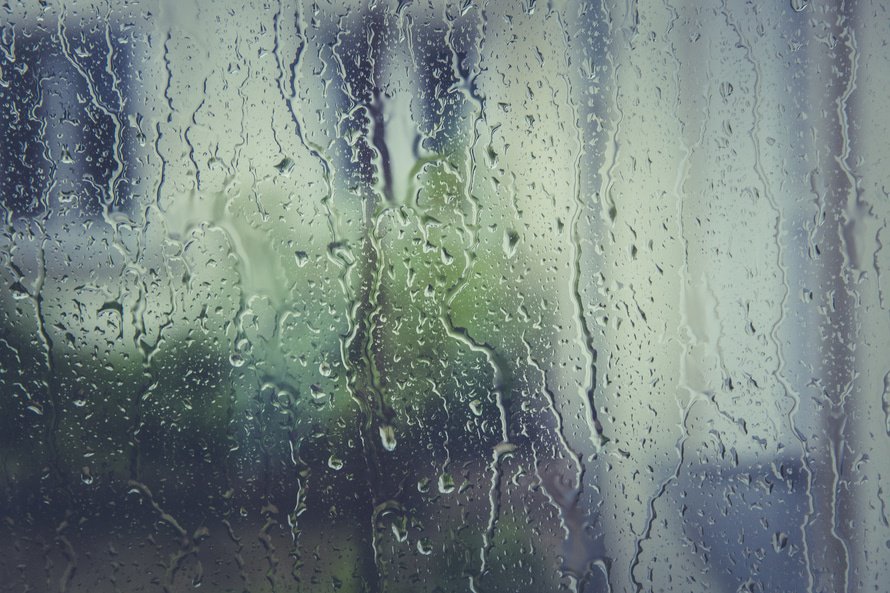 TNEnvironment's tweet photo. As Tennessee continues to feel effects of Tropical Storm Cindy, keep an eye on weather in your area: https://t.co/q6tBtiSlzr https://t.co/x0wuMaTyYn