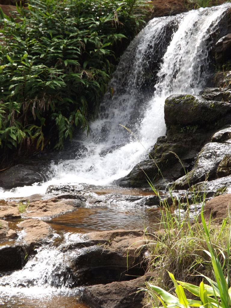 Follow808News's tweet photo. #TweetsofHawaii via @Ohana_Jamal https://t.co/7REkLZcDj6
