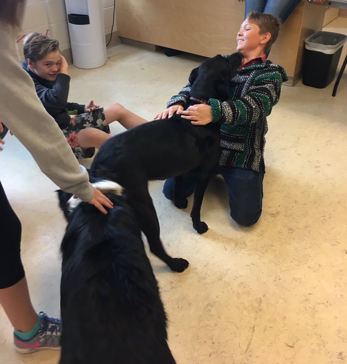 whscommandos's tweet image. Awesome &quot;pawsome&quot; start to a busy exam day @ WHS today. This can be a stressful time of year...but a little pet therapy helps;) 🐾❤️📚#btps28