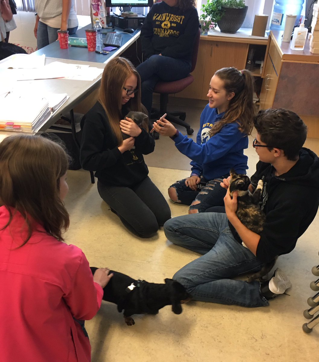 whscommandos's tweet image. Awesome &quot;pawsome&quot; start to a busy exam day @ WHS today. This can be a stressful time of year...but a little pet therapy helps;) 🐾❤️📚#btps28