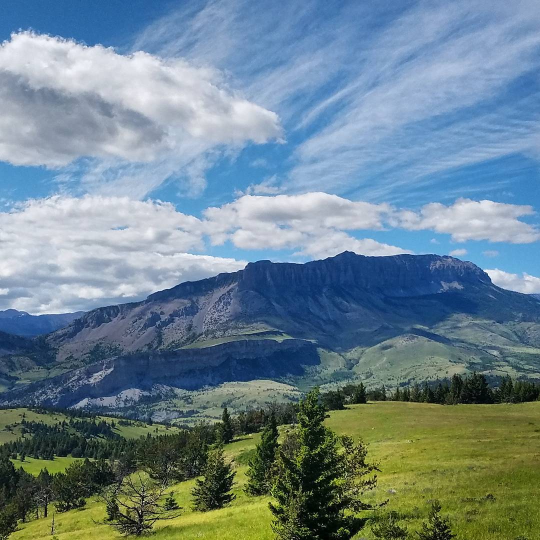 Visit Montana tweet media