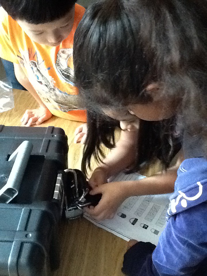 CamelotES_1's tweet photo. We almost broke out! The kids loved it!! #breakoutedu #LastDayOfSchool https://t.co/ZlSafiZHMD