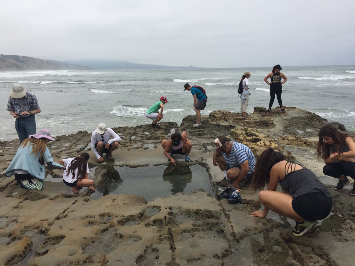 LocalWally's tweet image. This is what you should do this weekend!  Hike Torrey Pines from bluffs to ocean. It's not hard, you can do it!