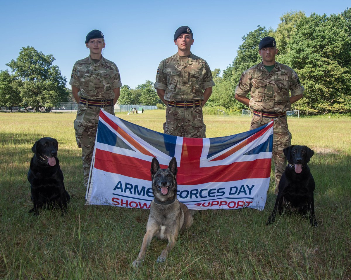 BritishArmy's tweet photo. Soldiers and their canine comrades from 1st Military Working Dog Regiment gear up for #ArmedForcesDay celebrations tomorrow @ArmedForcesDay https://t.co/q5C9WU3slX