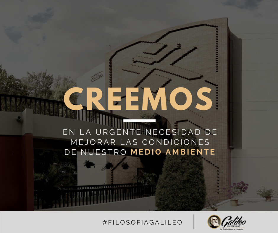 ugalileo_edu's tweet photo. Reconocemos la importancia de crear un entorno ecológico apropiado para las futuras generaciones.😁🌳🌎 #FilosofiaGalileo #REDgra https://t.co/VQizpGgiNK