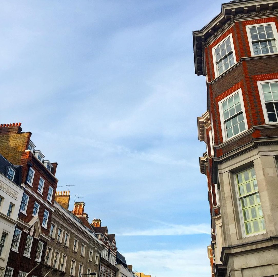 Willow & Clay tweet media