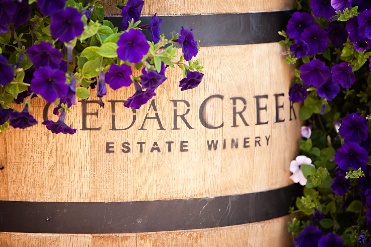 Culturalcomms tweet picture