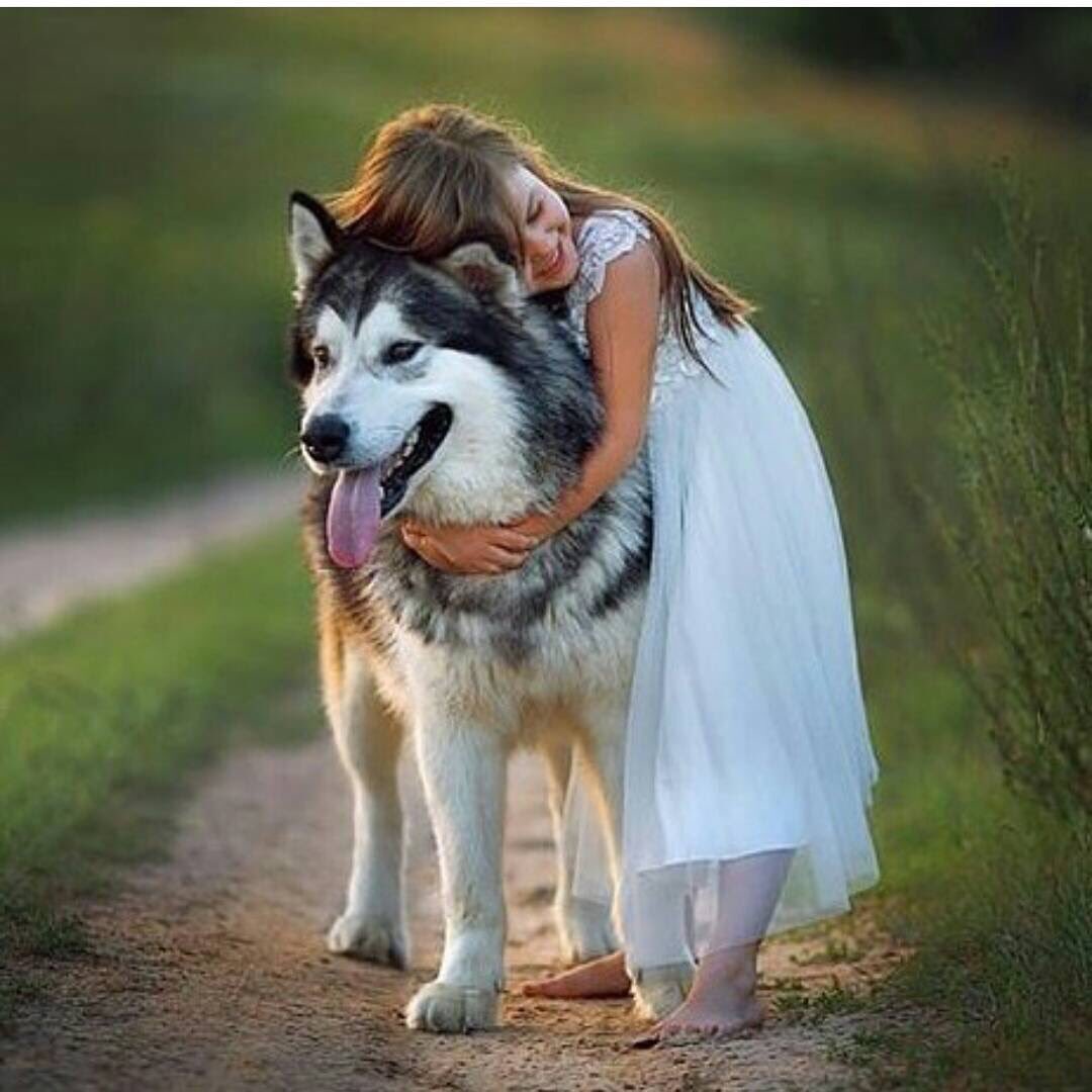 Flower pictures🌺🌼🌻 & Spiritual truth】楽しいスピ