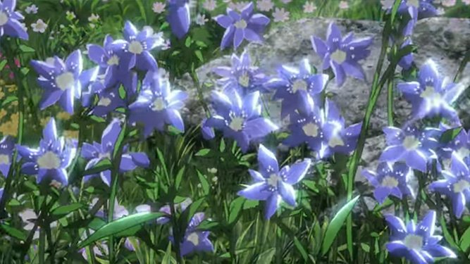 14代団長ハンジ ゾエbot エレンとミカサの重要なシーンには いつも紫の花 が咲いているんだね 今ぱっと確認しただけでも4回 竜胆 か スミレ という花に形が似ている気がする 仮に竜胆だとすると 花言葉は 悲しんでいるあなたを愛する