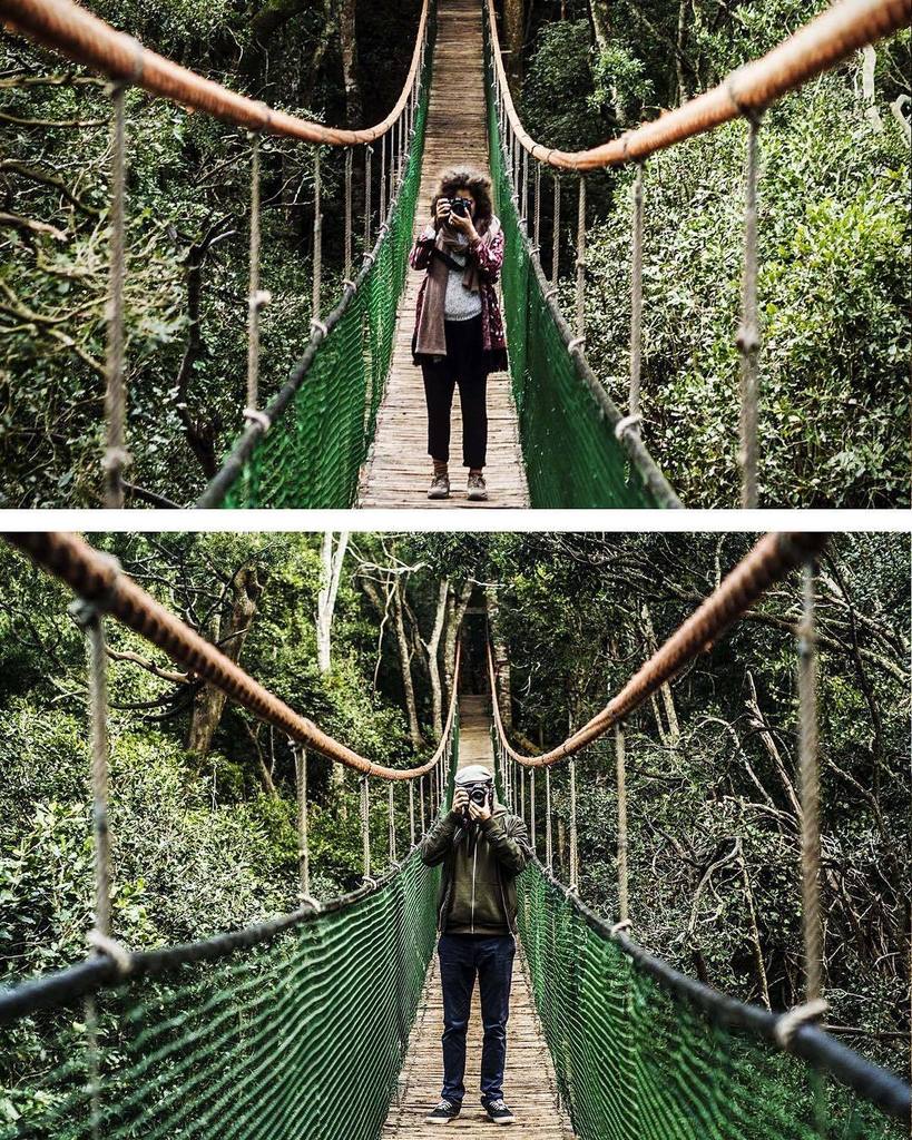 DriftingVisual's tweet photo. Somewhere with you 🍃 #driftingvisual #gardenroute #marlowm #thisissouthafrica W/ @visual_nomad. https://t.co/n5qIa34nG6 https://t.co/lTPr6NfXjZ