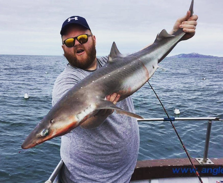 badboyzcharters's tweet photo. Regular Mark Foran and 2 of his mates booked the boat for an afternoons ' big fish ' fishing... 3 rods, 56 Spurdogs landed! https://t.co/3GStCU5lIc