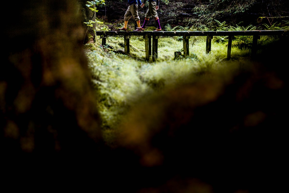 GJP Photography tweet media