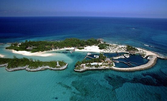 ButDansLaVie's tweet photo. S'évader aux Bahamas 😎🌊🌴 https://t.co/QHUcGFiooR