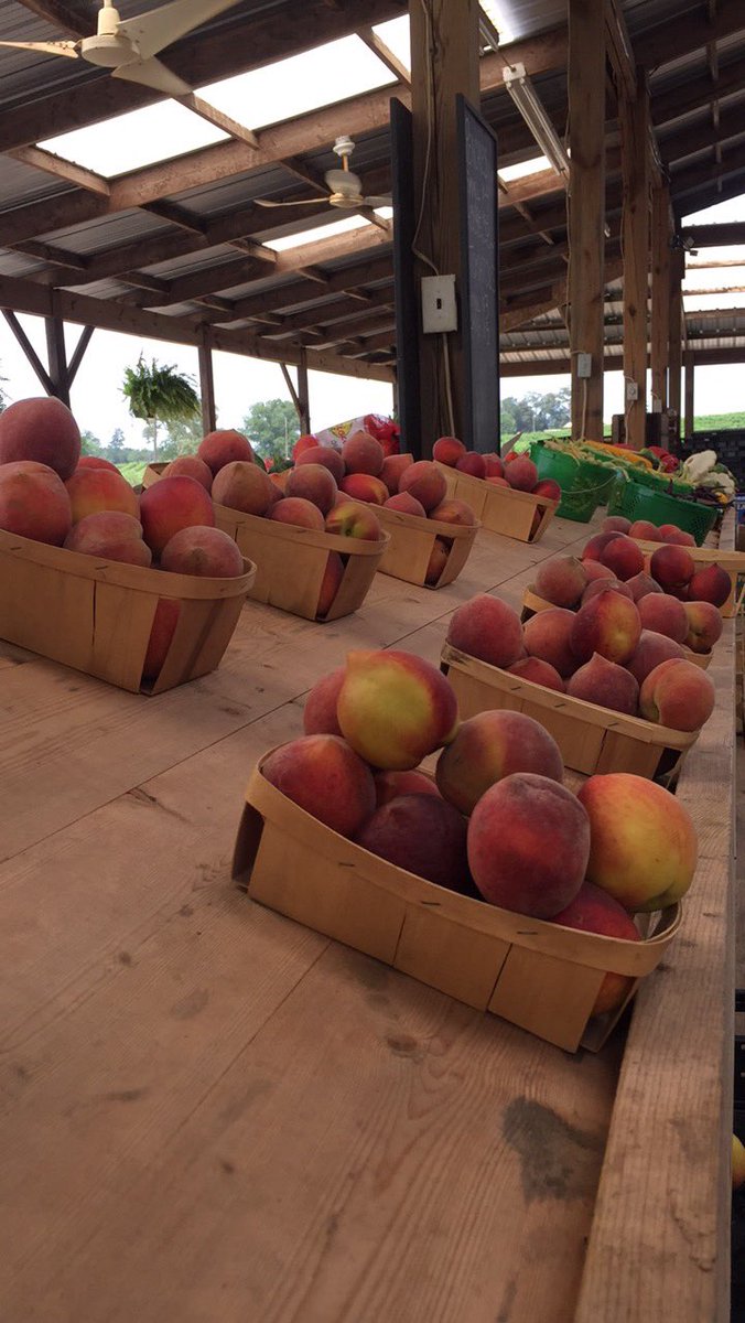 The Shed at Fitzgerald Fruit Farms has #sweetgeorgiapeaches ready for you to enjoy! #georgiagrown