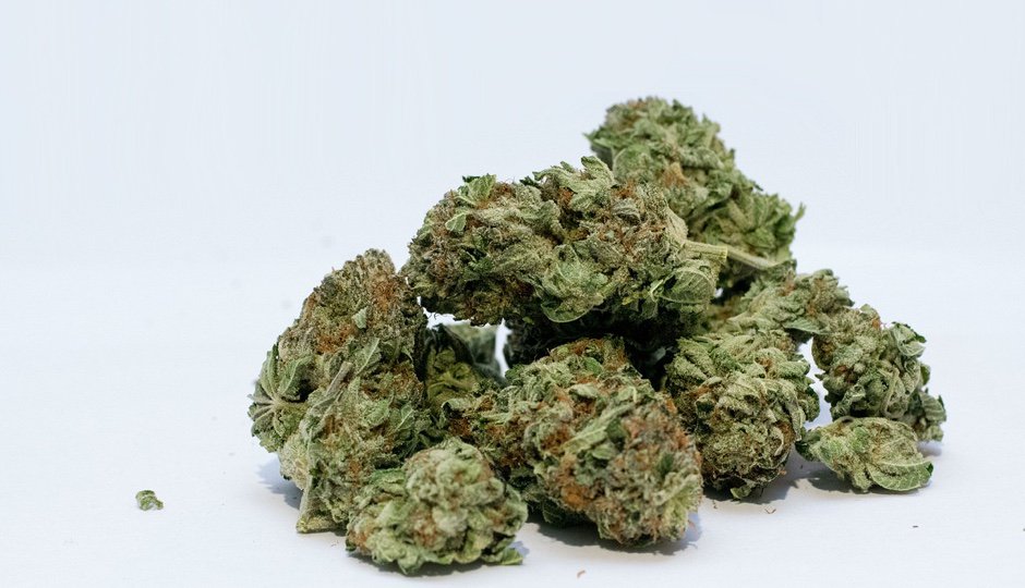 RealPureHorizon's tweet photo. While There’s Money and Hope in Cannabis, Technologists Beware (Philadelphia Magazine)
https://t.co/QLd1G2rt1u https://t.co/EbxHtYC9lL